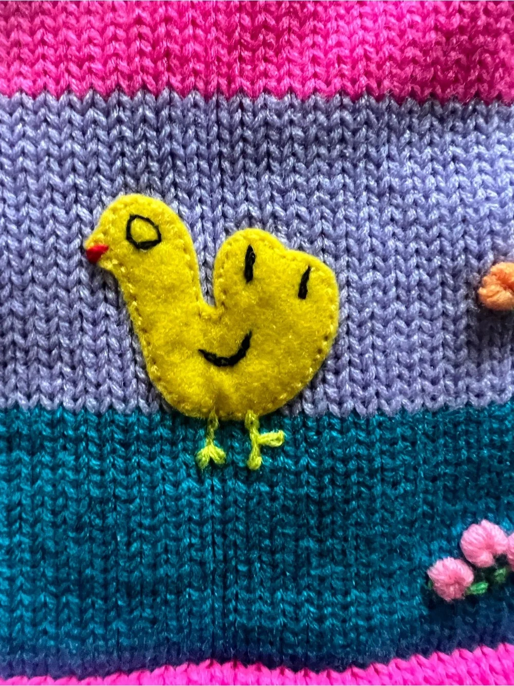 Adorable Colorful Embroidered Hoodie